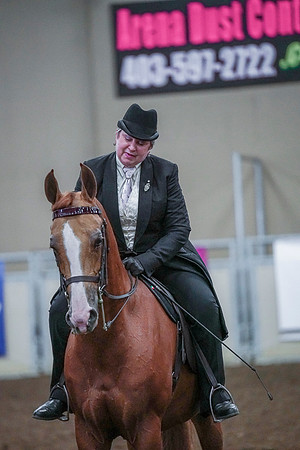 Spring Fling - Saturday - April 20, 2019  -  00861