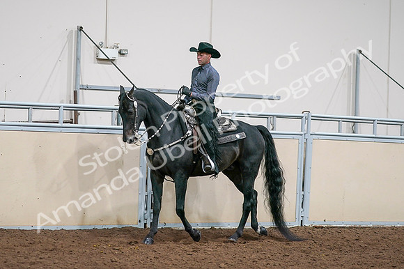 2020 - AB Morgan Horse - Fri, Sept 04 - 08527