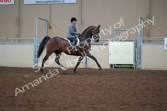 2019 Morgan Horse Show - Aug 30, 2019 - 20839