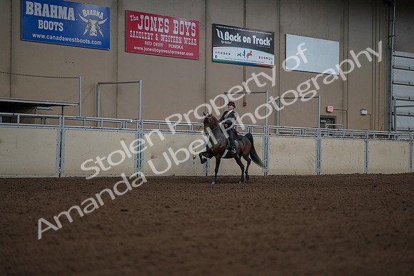 2019 Morgan Horse Show - Aug 30, 2019 - 28284