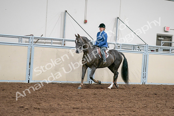 2020 - AB Morgan Horse - Sat, Sept 05 - 04992
