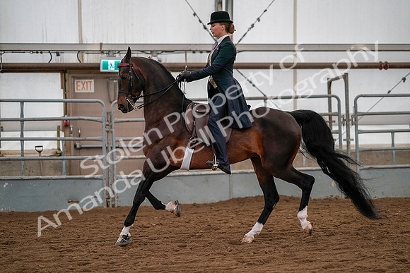July 19, 2019 - 10411