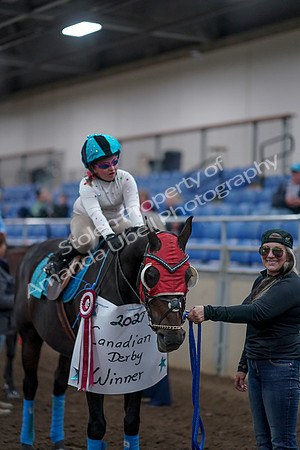 2019 Morgan Horse Show - Aug 31, 2019 - 10177
