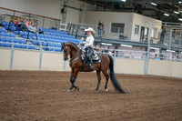 2020 - AB Morgan Horse - Fri, Sept 04 - 08249