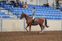 2020 - AB Morgan Horse - Sat, Sept 05 - 02603