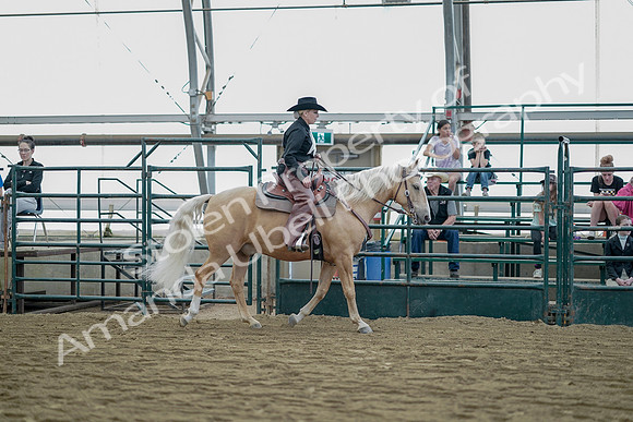 July 21, 2019 - 06833