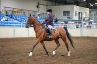 2020 - AB Morgan Horse - Fri, Sept 04 - 02218