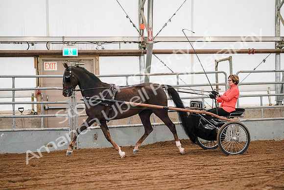 July 19, 2019 - 6981