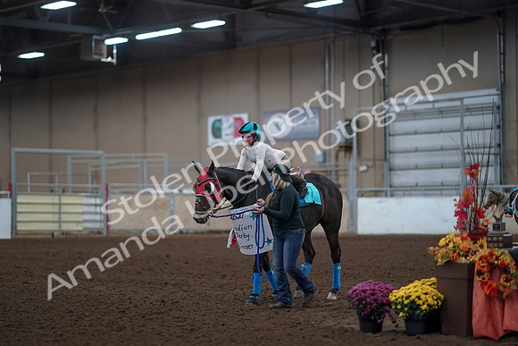 2019 Morgan Horse Show - Aug 31, 2019 - 10085