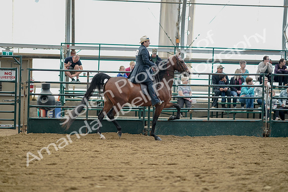 July 21, 2019 - 01877
