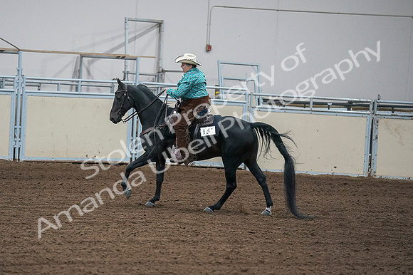 2020 - AB Morgan Horse - Fri, Sept 04 - 00467
