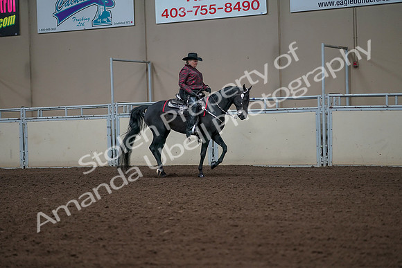 2019 Morgan Horse Show - Aug 31, 2019 - 10706