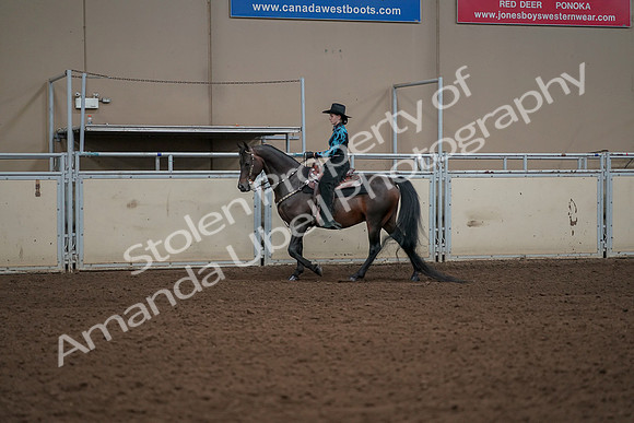 2019 Morgan Horse Show - Aug 30, 2019 - 26120