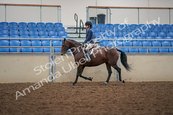 2019 Morgan Horse Show - Aug 30, 2019 - 23383
