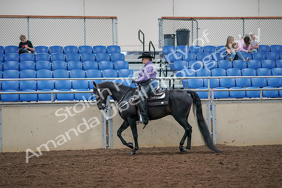 2019 Morgan Horse Show - Aug 30, 2019 - 16740