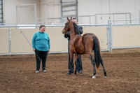 2020 - AB Morgan Horse - Sat, Sept 05 - 00112