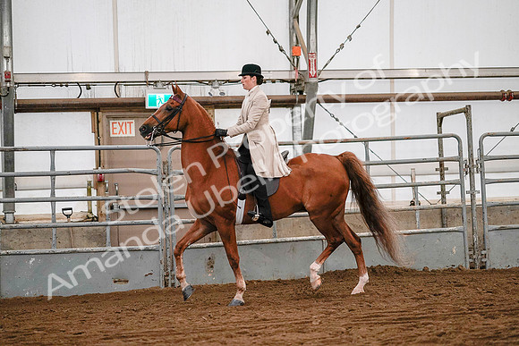 July 19, 2019 - 9035