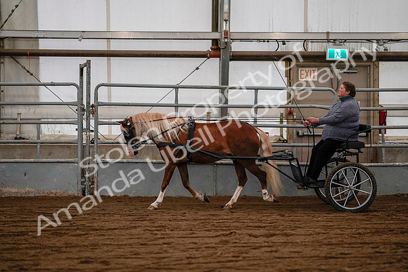 July 19, 2019 - 7082