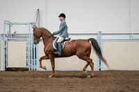 2020 - AB Morgan Horse - Sat, Sept 05 - 03044