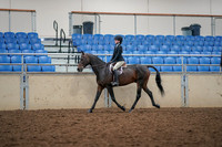 2019 Morgan Horse Show - Aug 30, 2019 - 23119