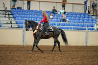 2020 - AB Morgan Horse - Sat, Sept 05 - 10367