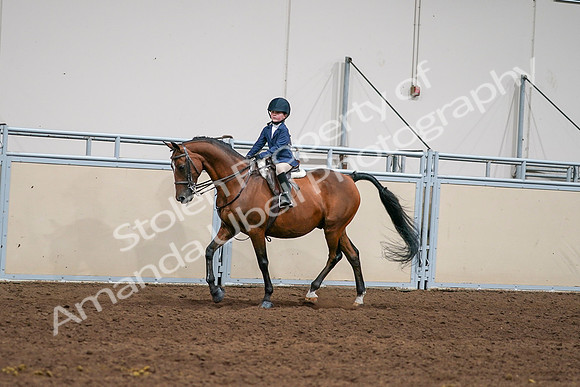 2020 - AB Morgan Horse - Sun, Sept 06 - 08158