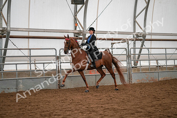 July 19, 2019 - 10450