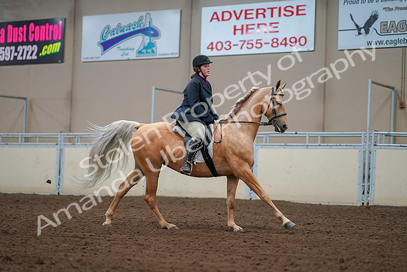 2019 Morgan Horse Show - Aug 30, 2019 - 16420