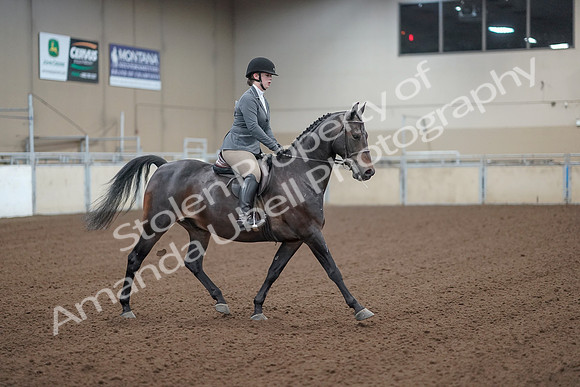 2019 Morgan Horse Show - Sept 01, 2019 - 11017