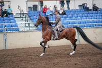 2019 Morgan Horse Show - Aug 31, 2019 - 21966