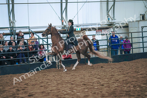 July 20, 2019 - 24079
