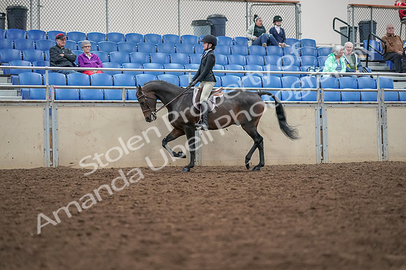 2019 Morgan Horse Show - Aug 30, 2019 - 20296