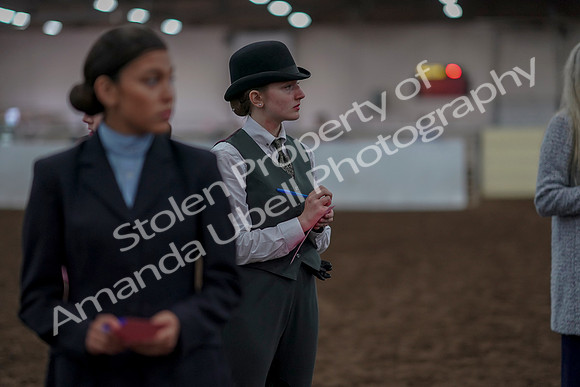 2019 Morgan Horse Show - Aug 31, 2019 - 03966