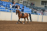 2020 - AB Morgan Horse - Fri, Sept 04 - 04466