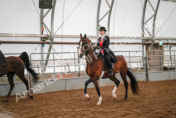 July 19, 2019 - 8788