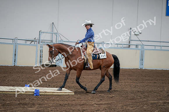 2020 - AB Morgan Horse - Fri, Sept 04 - 00164
