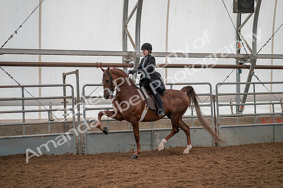 July 19, 2019 - 13158