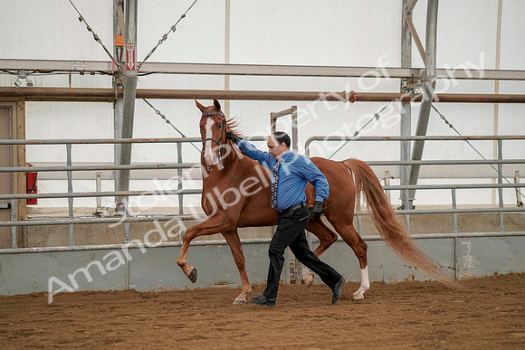 July 19, 2019 - 1384