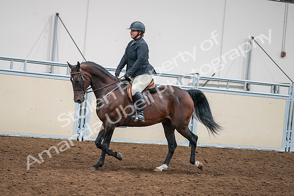 2020 - AB Morgan Horse - Sat, Sept 05 - 09329
