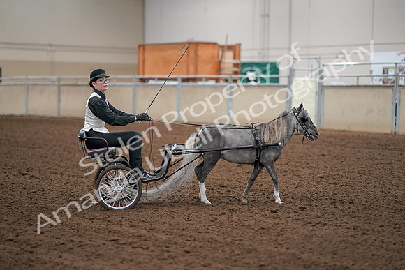 2019 Morgan Horse Show - Aug 30, 2019 - 13348
