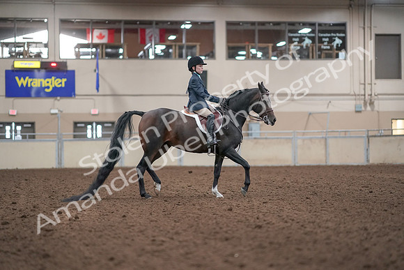 2019 Morgan Horse Show - Aug 31, 2019 - 19607