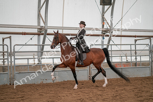 July 19, 2019 - 4225