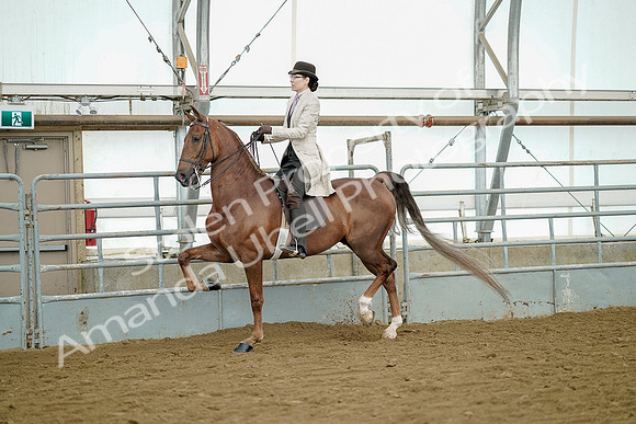 July 20, 2019 - 07852