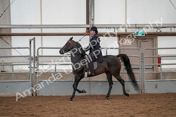 July 20, 2019 - 04221