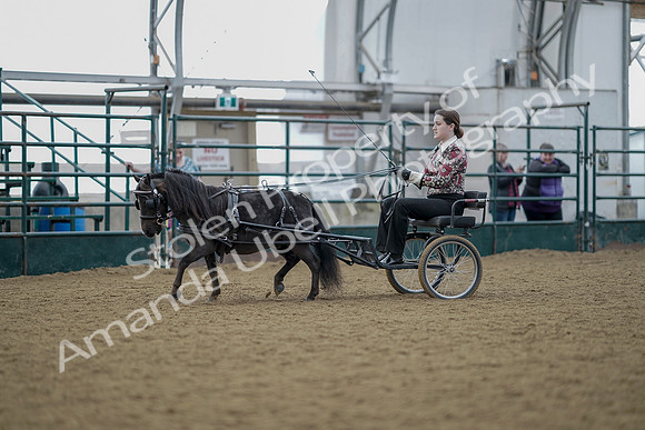 July 21, 2019 - 06757
