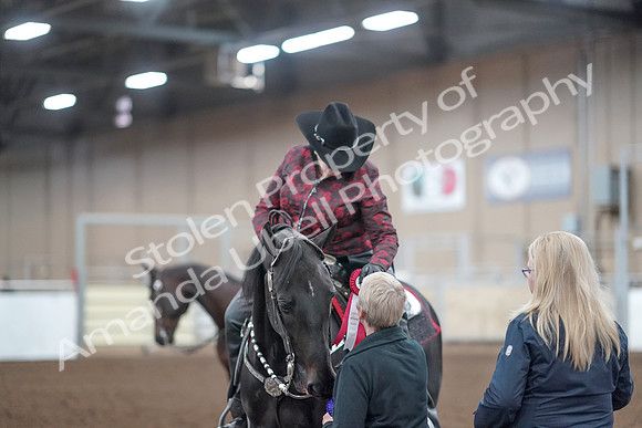 2019 Morgan Horse Show - Aug 31, 2019 - 10801