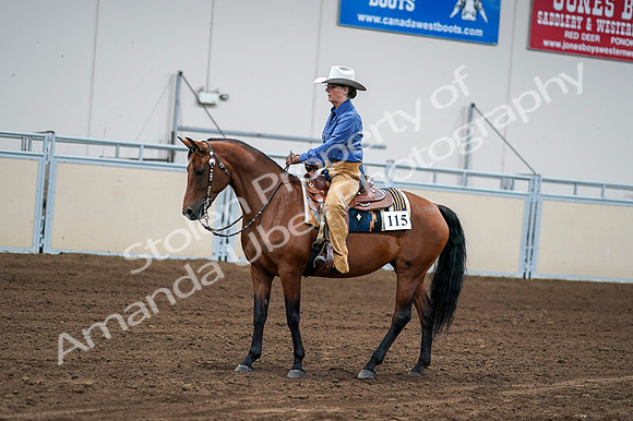 2020 - AB Morgan Horse - Fri, Sept 04 - 00152