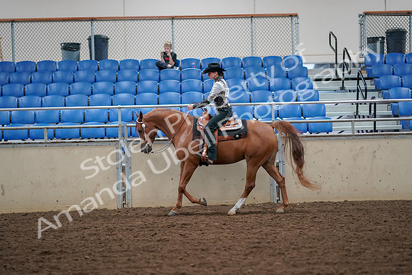 2019 Morgan Horse Show - Aug 30, 2019 - 16858