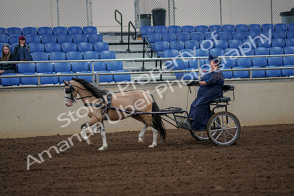2019 Morgan Horse Show - Aug 30, 2019 - 13124
