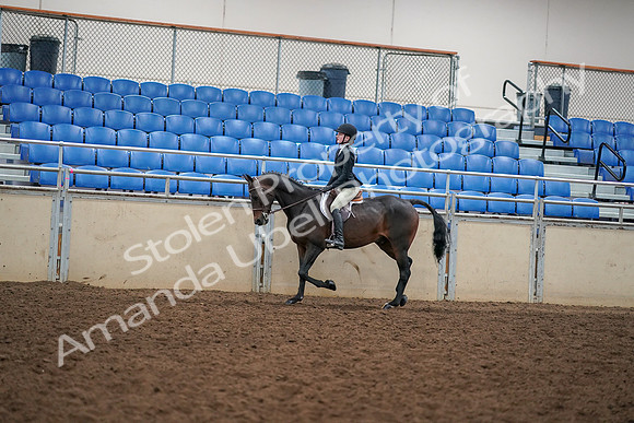 2019 Morgan Horse Show - Aug 30, 2019 - 12258